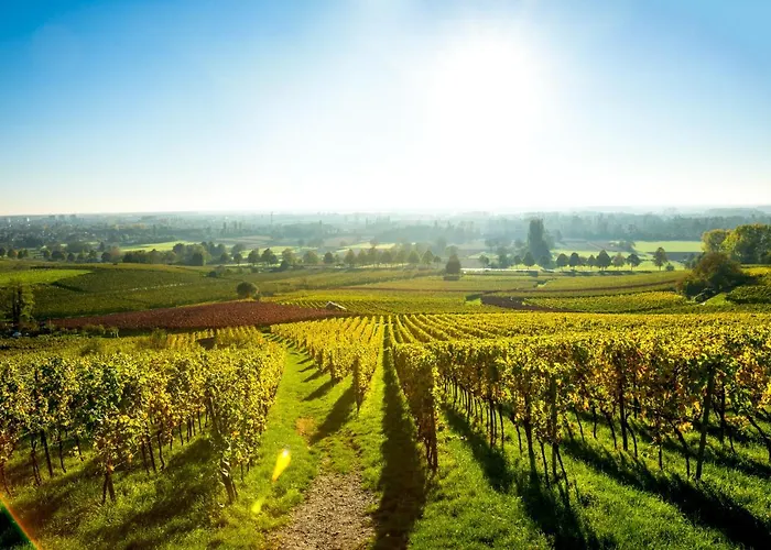 Clos Ceres Bed & Breakfast Viré